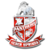 HSSD